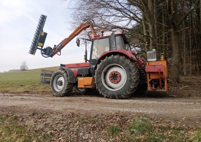 Heckenschere zum Profilraumschneiden